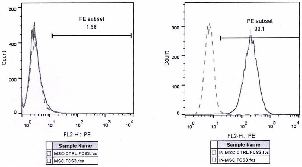 Preparation method and application of stem cells capable of inductively secreting insulin