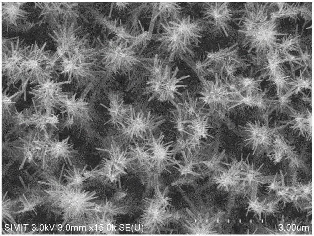 Preparation method of dendritic zinc oxide nanowire array