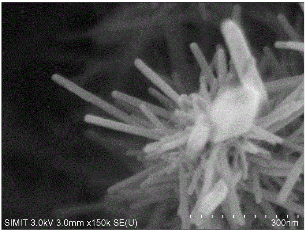 Preparation method of dendritic zinc oxide nanowire array