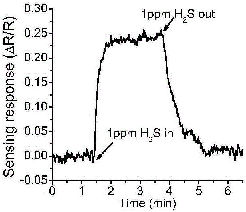 Preparation method of dendritic zinc oxide nanowire array