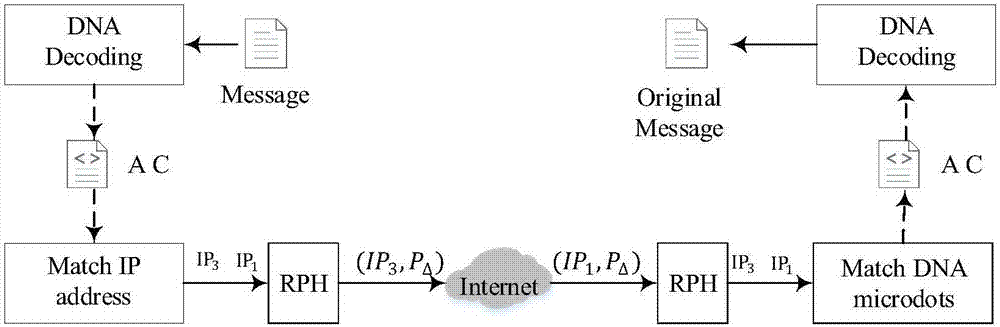 Covert hopping communication method based on DNA encryption