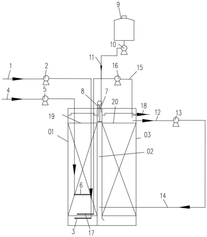 Anaerobic ammonia oxidation device for pig breeding wastewater treatment and application method