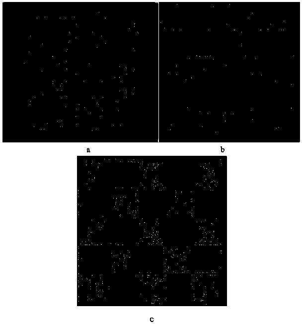 Explosion-proof reinforced concrete with negative Poisson's ratio effect and preparation method thereof