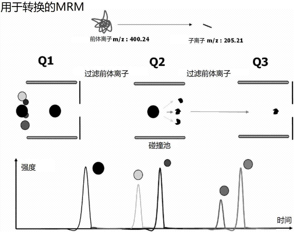 Biomarker for diagnosis of hepatoma and use thereof