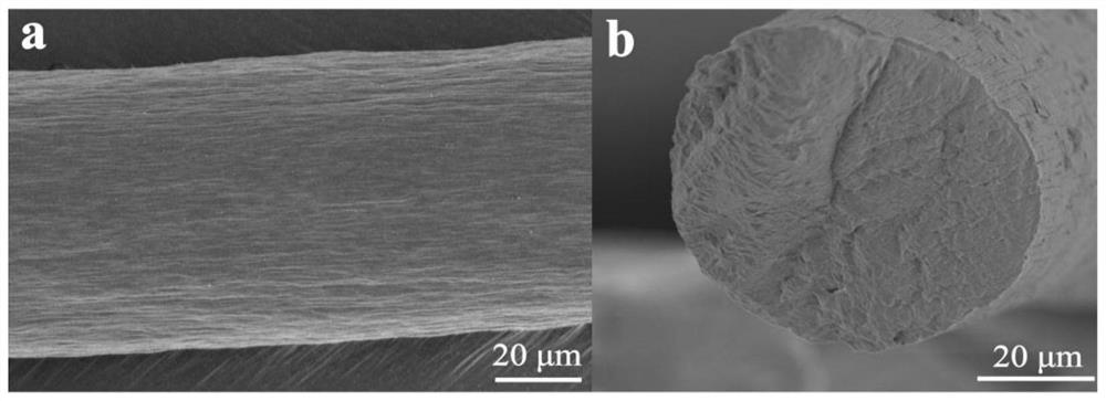 Protein fibers capable of being prepared on large scale and application thereof