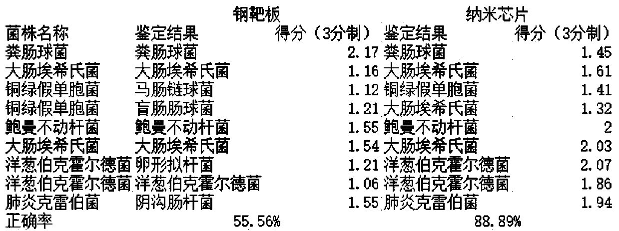 General-purpose nanochip for mass spectrometry and preparation method and application thereof