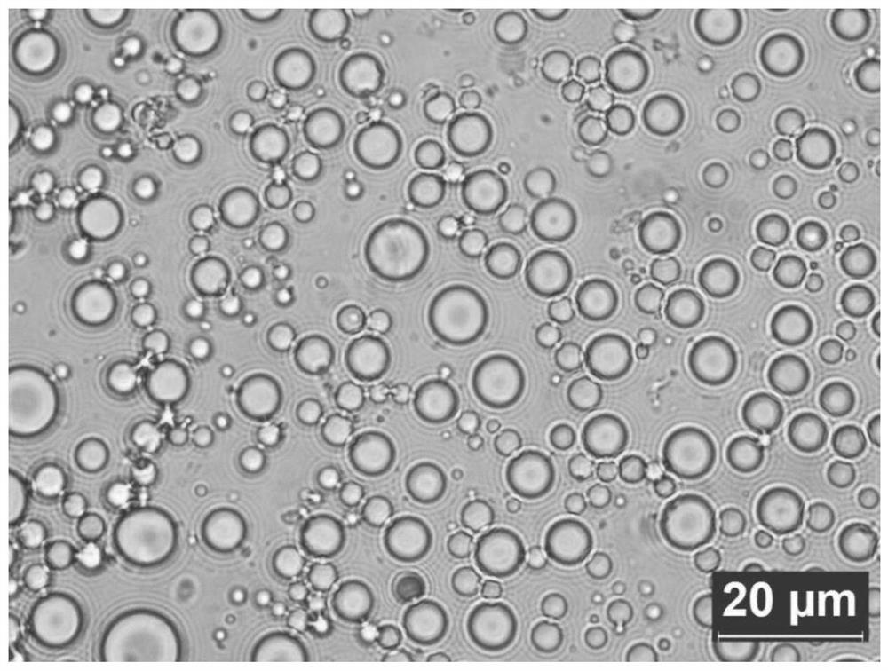 Nanometer titanium dioxide solid particle emulsifier and preparation method thereof