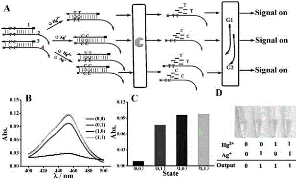 DNA colorimetric logic gate construction method based on metal ion regulation and control of exonuclease III shearing action