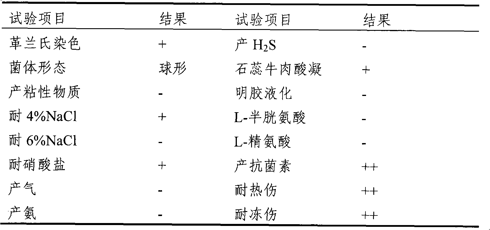 Pedicoccus acidilacticii strain, fermentation banger and method for preparing same