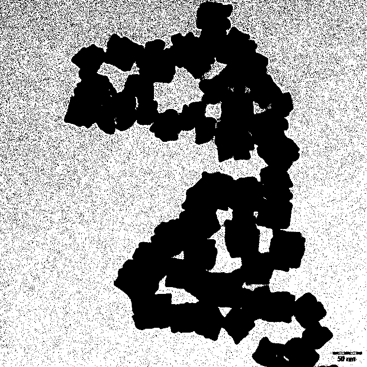 Preparation method of porous multi-branch Pt-Ni-Cu alloy nanoparticles