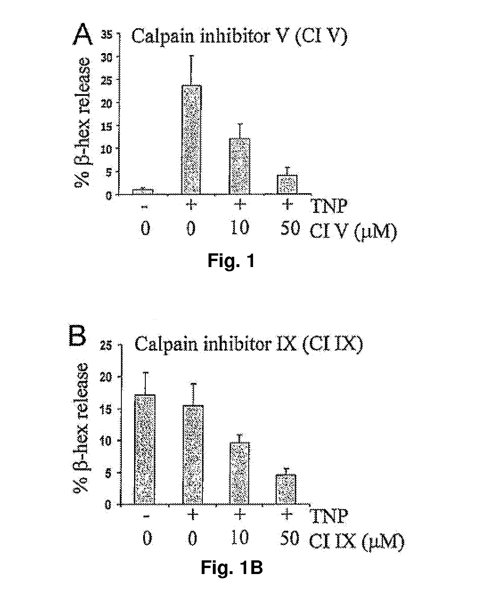 Inhibition of calpain reduces allergic inflammation