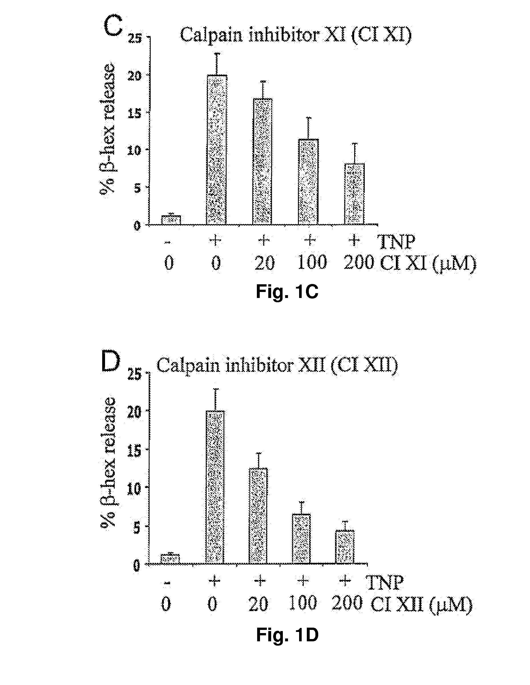 Inhibition of calpain reduces allergic inflammation