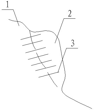 Pulling reinforcement method for internal fissure of dangerous rock