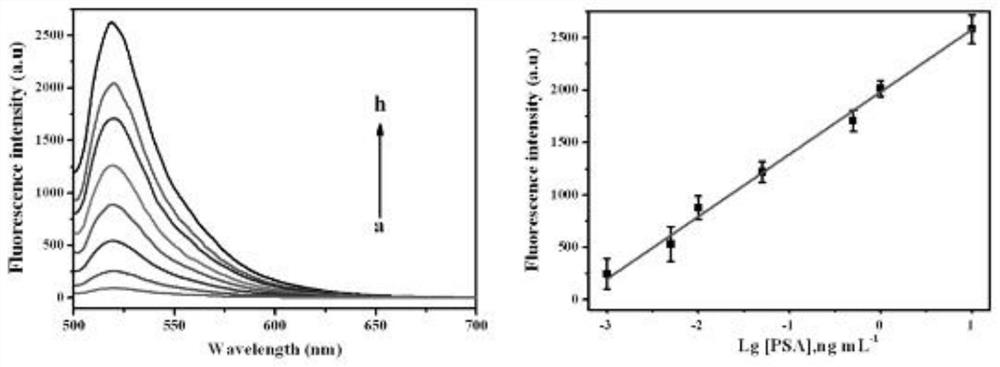 A detection kit, detection method and application of prostate specific antigen