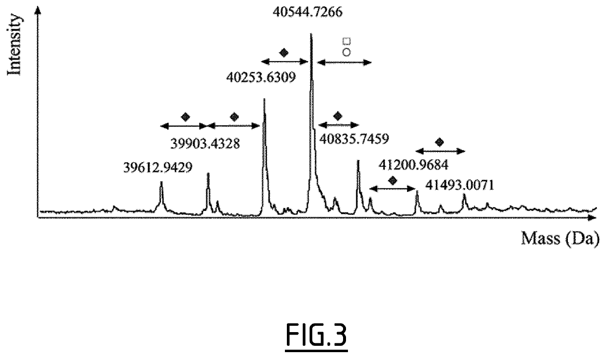 Sialylated fetuin-A as a marker of immunotherapy efficacy