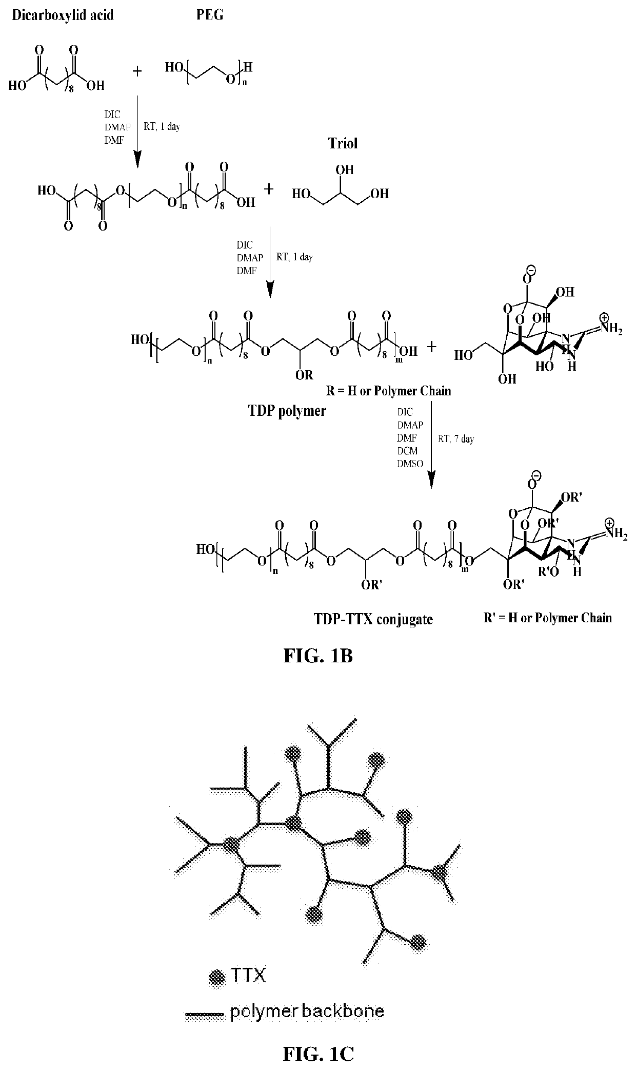 Covalent anesthetic-polymer conjugates for prolonged local anesthesia