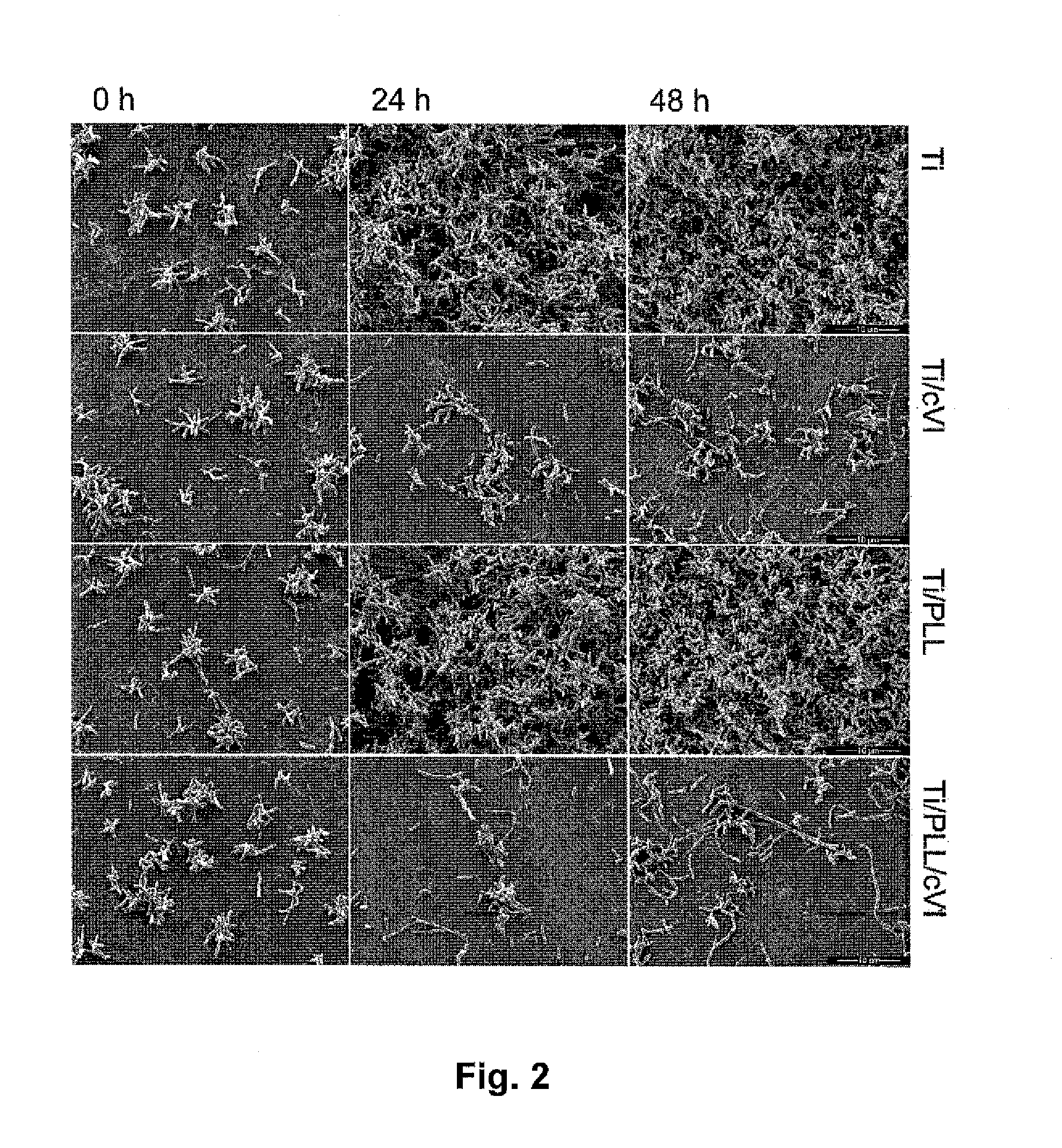 Medical device comprising collagen-vi