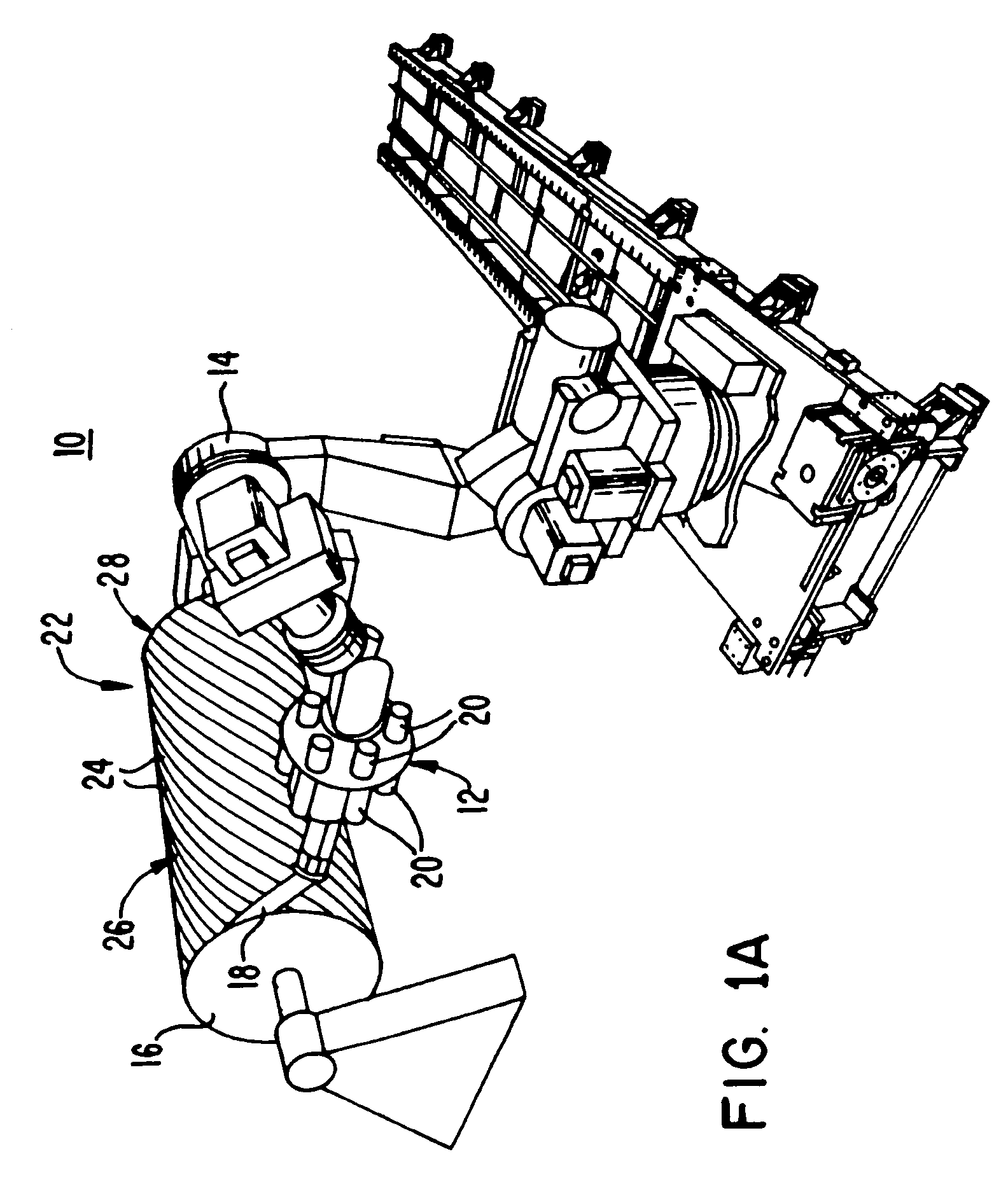 Tow width adaptable placement head device and method