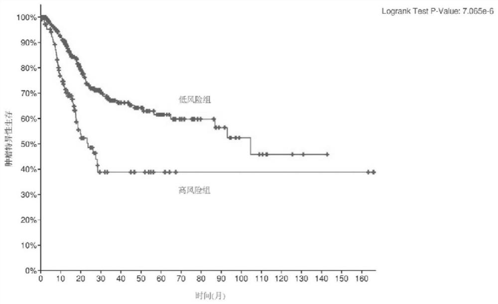 Gene combination for human tumor grading and application of gene combination