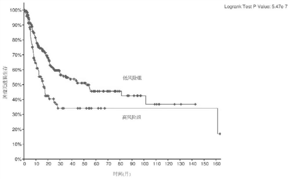 Gene combination for human tumor grading and application of gene combination