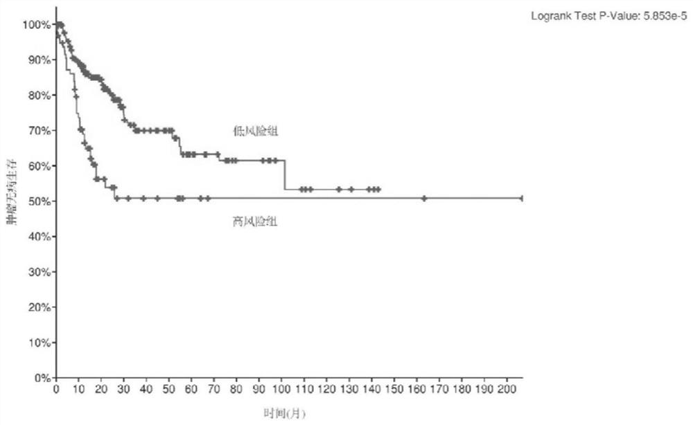 Gene combination for human tumor grading and application of gene combination