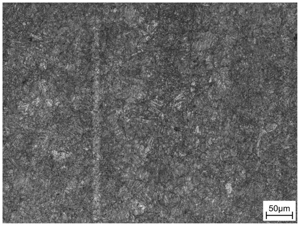 A Metallographic Corrosion Method for Rapidly Displaying Grain Boundaries of Special Steel