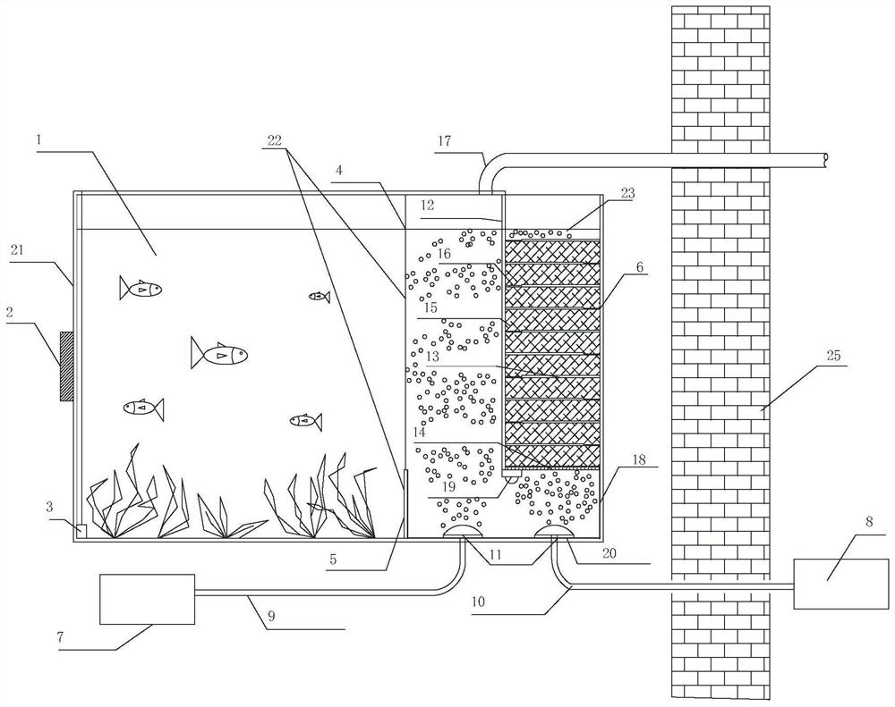 An aquaculture tank with both disinfection and fresh air purification functions