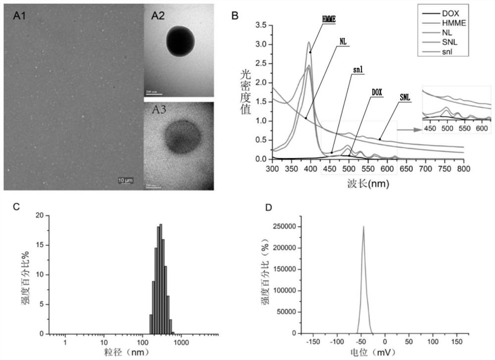 A kind of sound-sensitive lipid nanoparticle, application and preparation method thereof