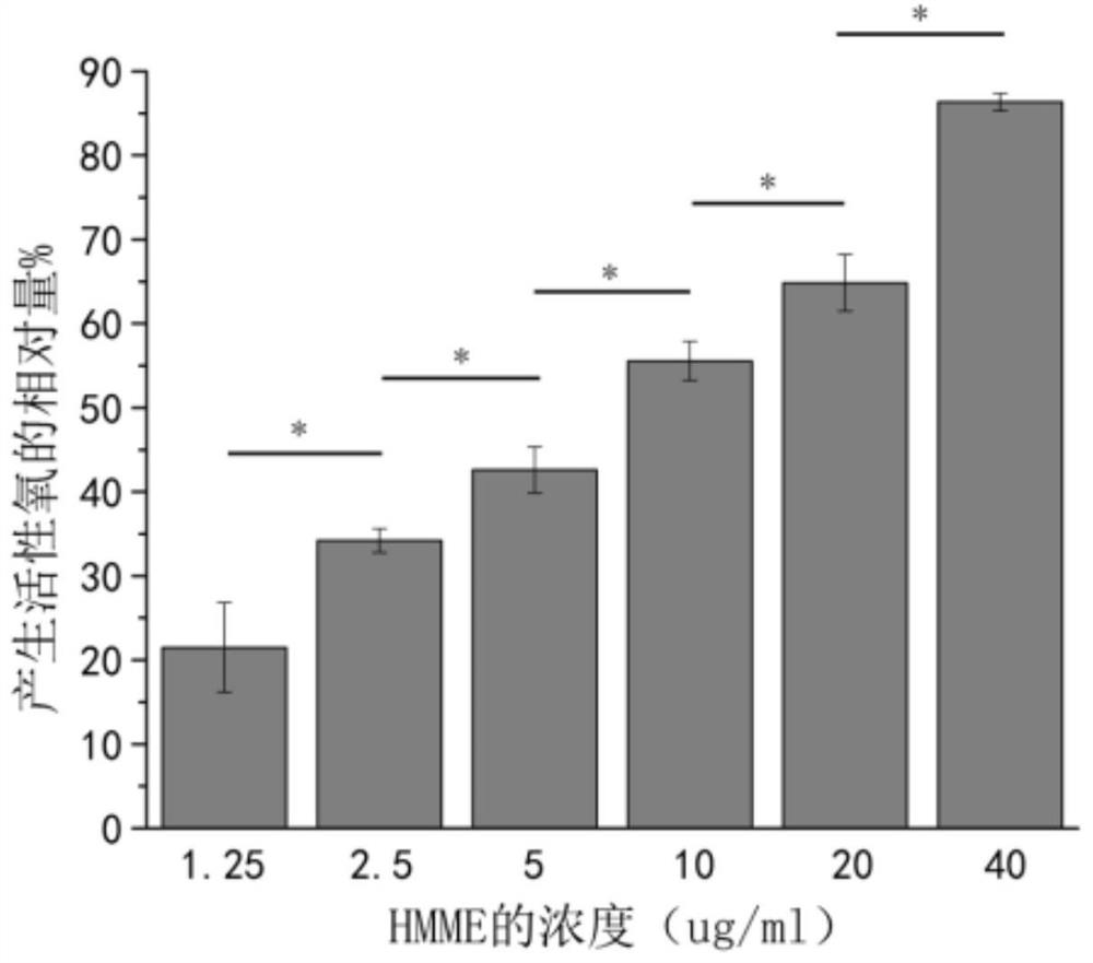 A kind of sound-sensitive lipid nanoparticle, application and preparation method thereof