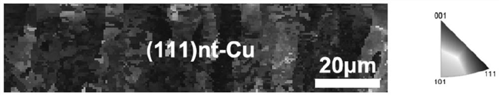 Method for rapidly preparing (100) single crystal copper