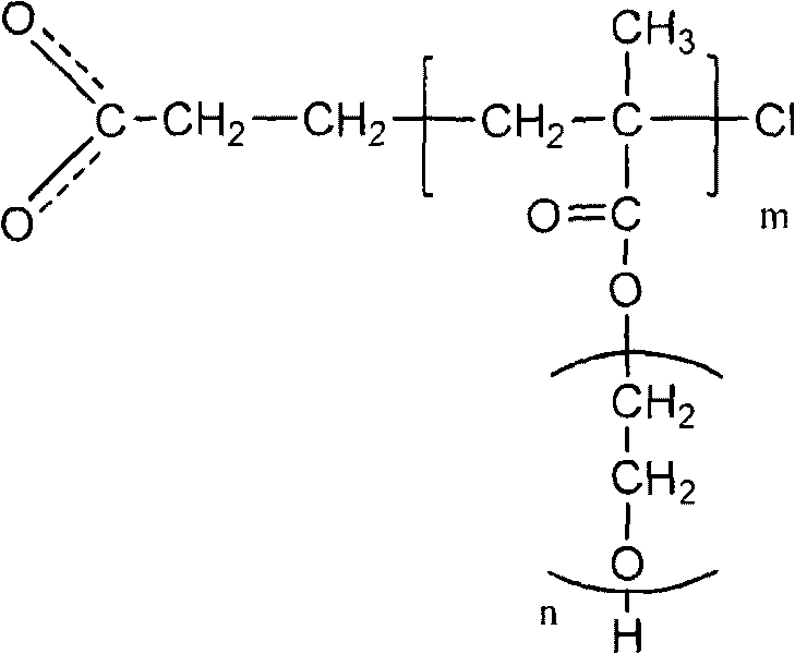 Functional superparamagnetic nano particle with uniform particle size and preparation method thereof