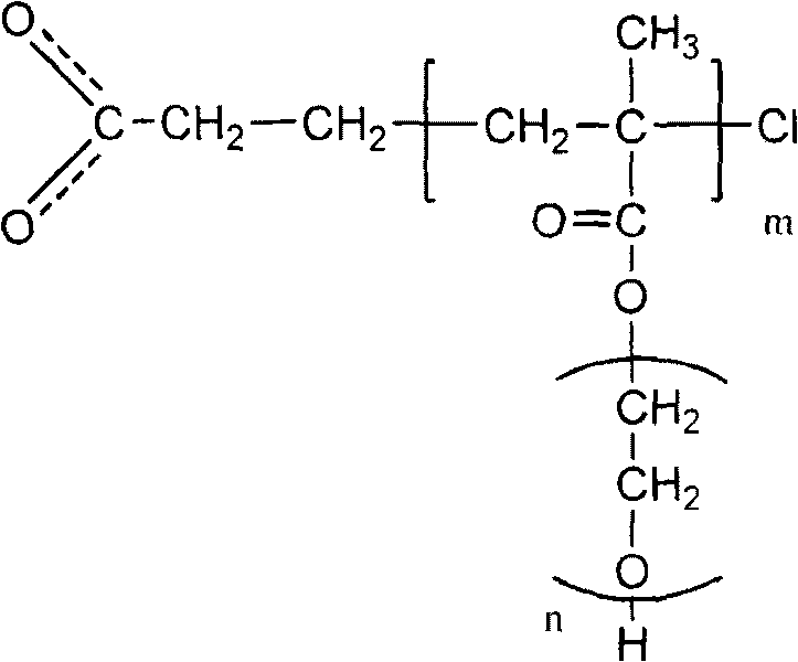 Functional superparamagnetic nano particle with uniform particle size and preparation method thereof