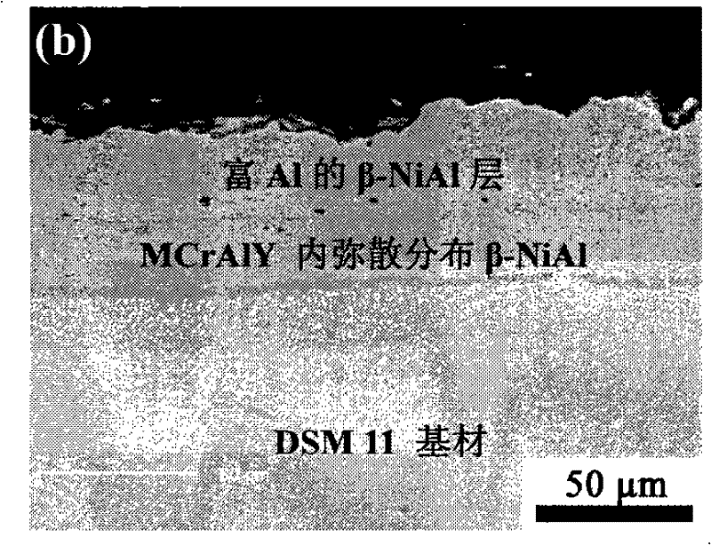 Ni-base superalloy complex gradient coating and preparation technique thereof