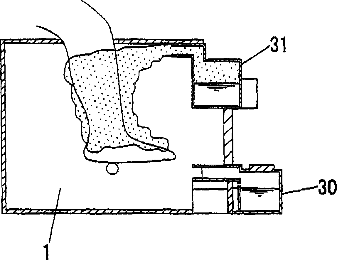 Warm bath apparatus