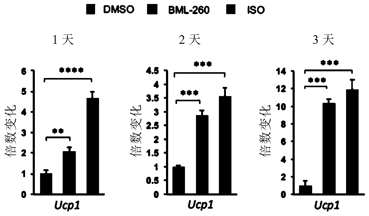 Application of rhodanine to treatment of metabolic diseases