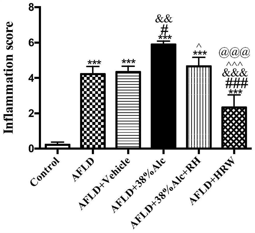 Hydrogen-rich alcohol beverage without impairing liver, and preparation method and application of hydrogen-rich alcohol beverage