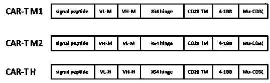 Chimeric antigen receptor (CAR) targeting GPC3 and anticancer applications