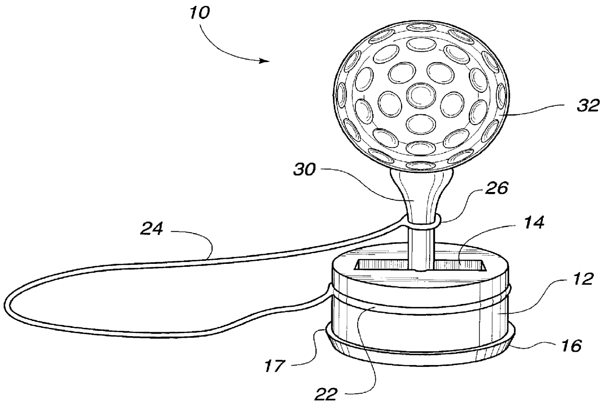 Golf tee setting apparatus