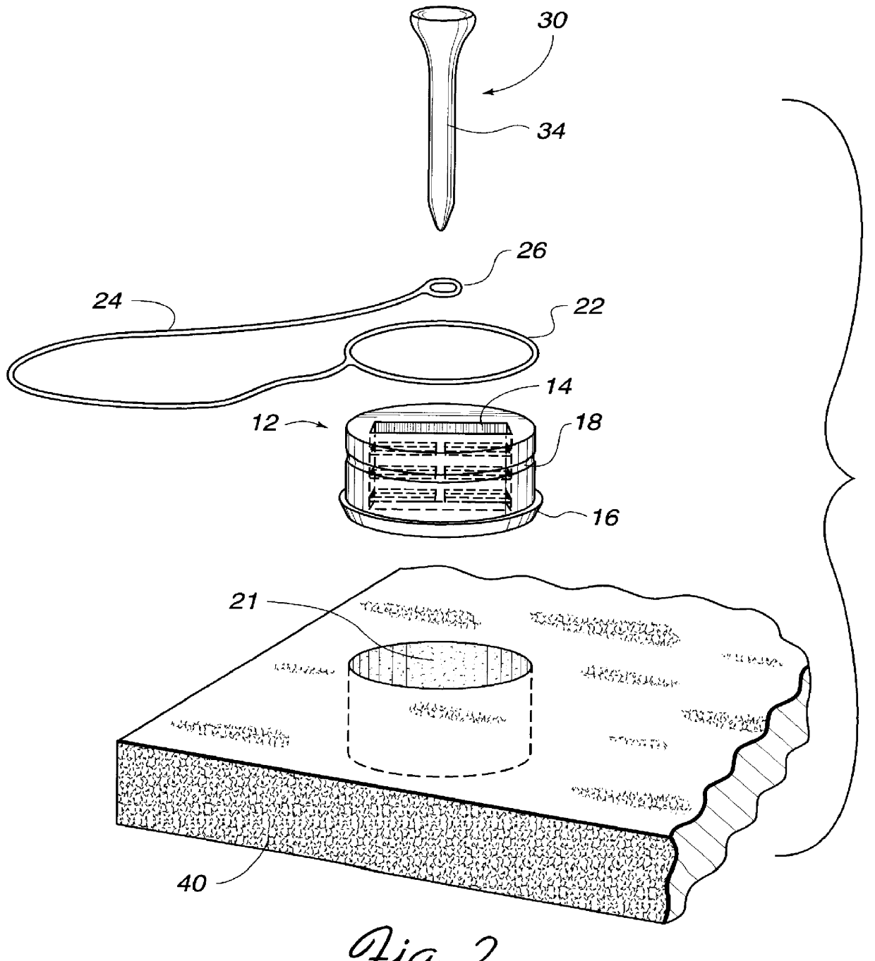 Golf tee setting apparatus