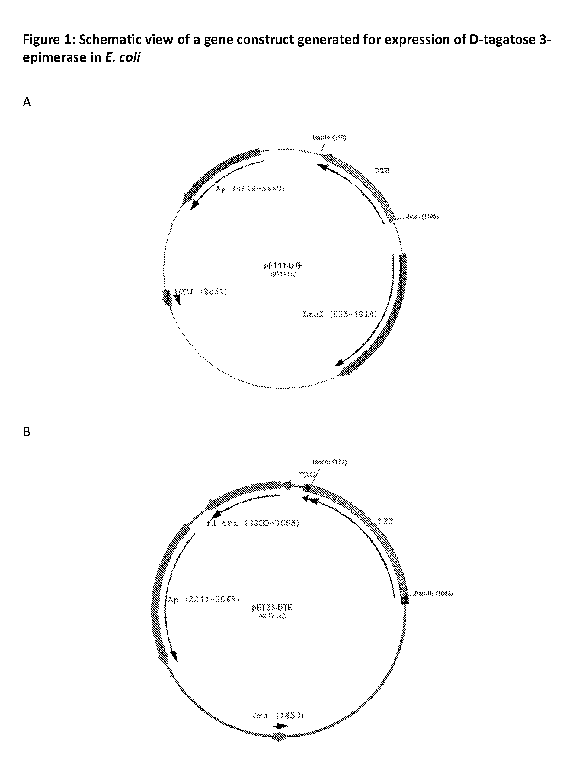 Method of Production of Monosaccharides