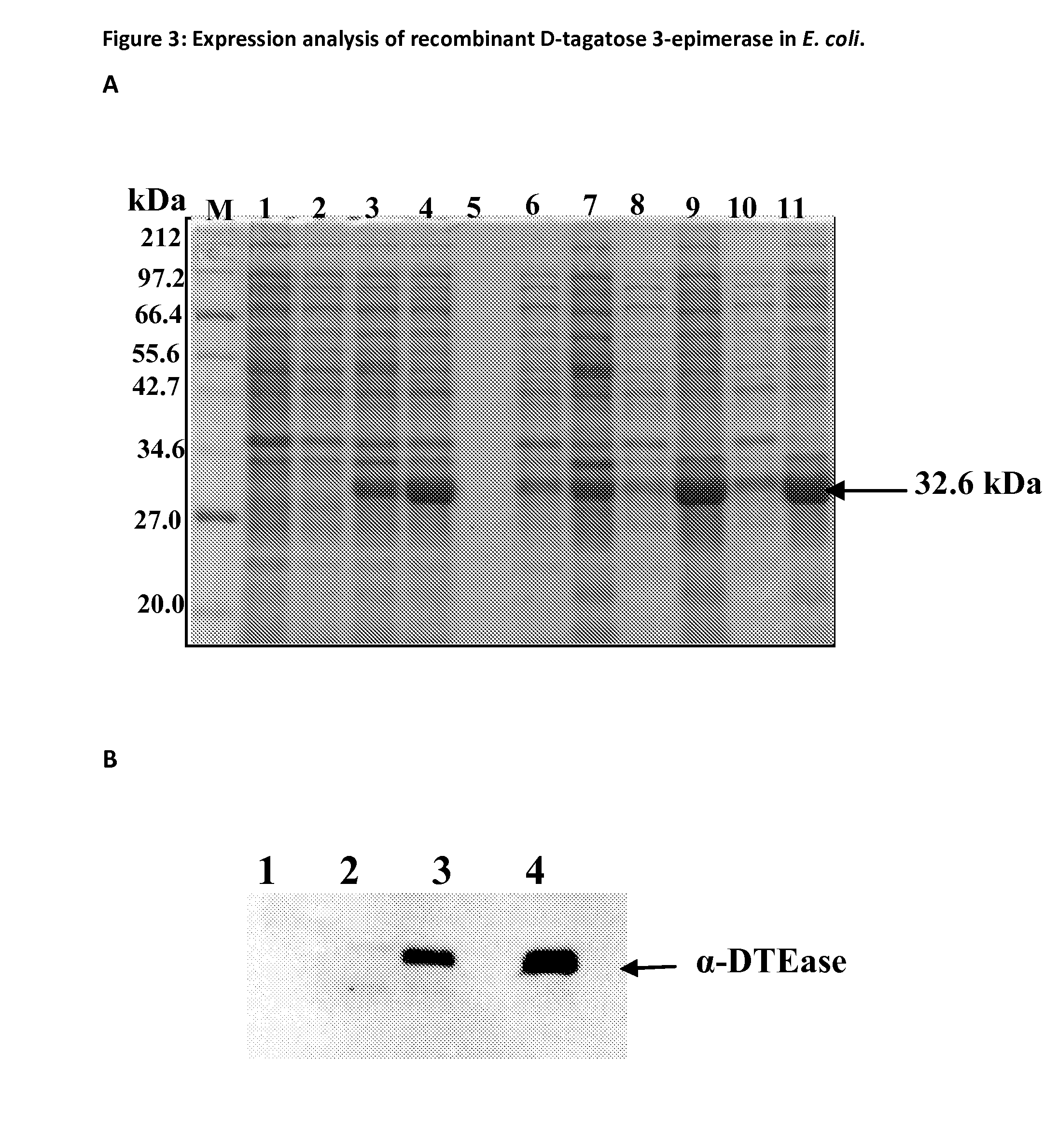 Method of Production of Monosaccharides