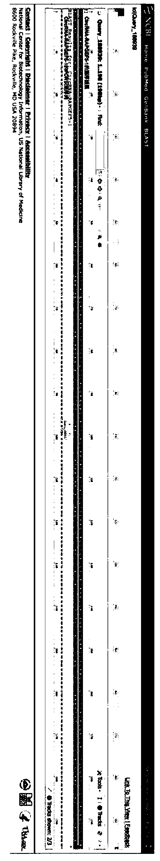 Application of circRAPGEF51 to pituitary adenoma biomarkers