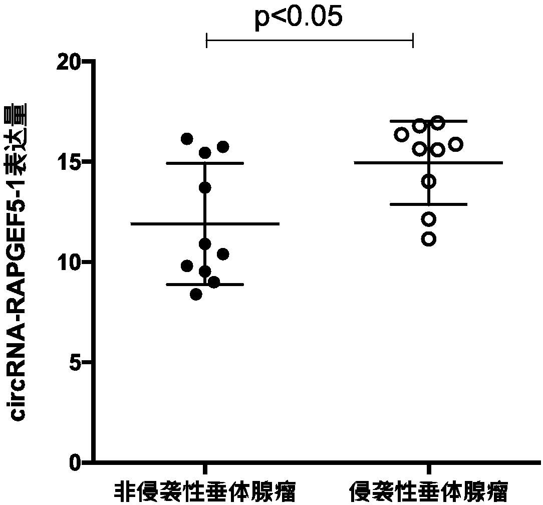 Application of circRAPGEF51 to pituitary adenoma biomarkers