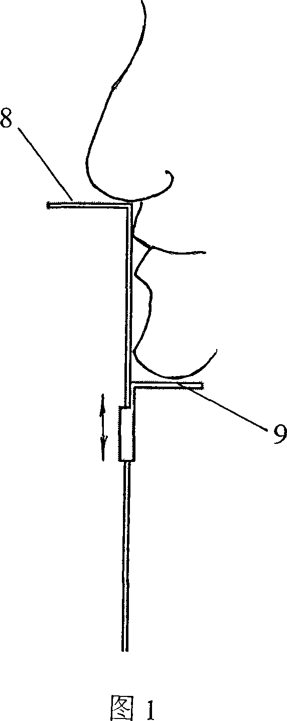 Oral maxillofacial one third vertical dimension measuring ruler