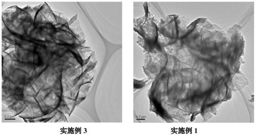 Carbon-doped ultrathin bismuth tungstate nanosheet photocatalytic material and preparation method thereof