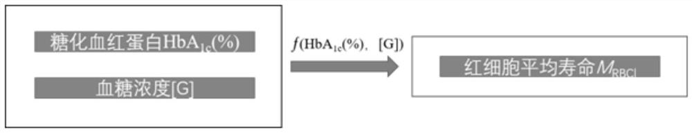 Red blood cell average life detection method based on HbA1c and blood glucose concentration as sensing variables