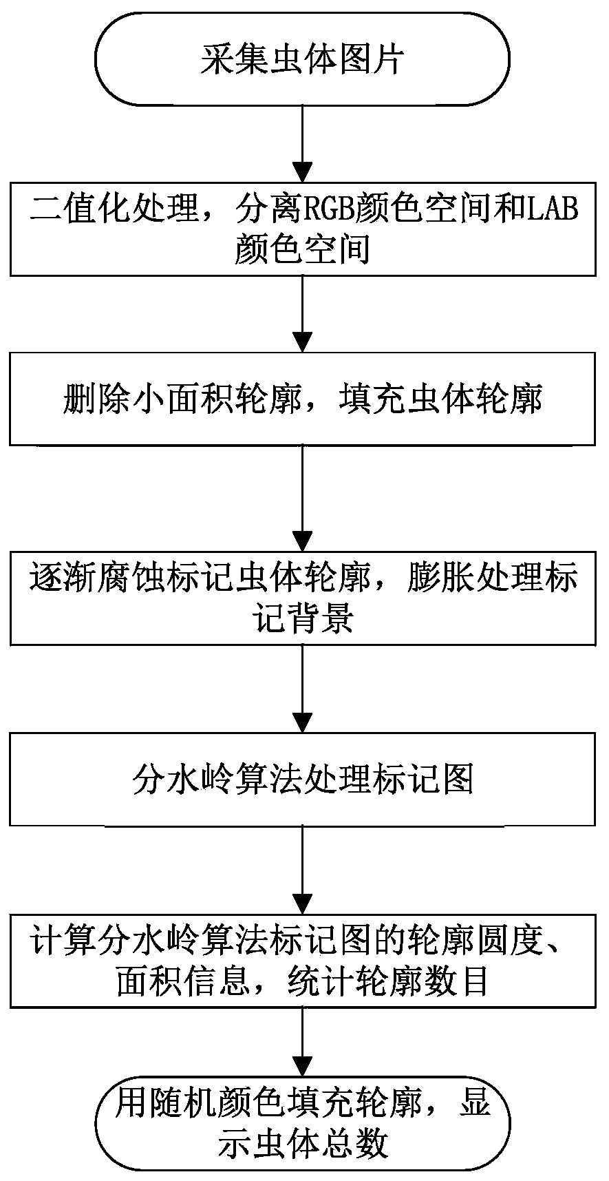 Watershed algorithm-based insect body identification and counting method and system