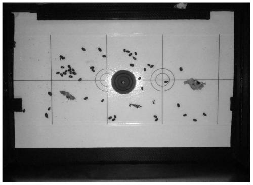 Watershed algorithm-based insect body identification and counting method and system