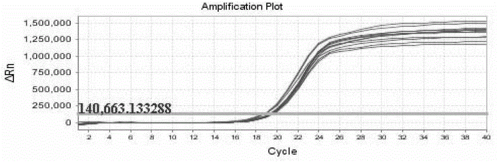 Method for detecting self-mutilation rate of insects by using odorant binding protein 15 gene