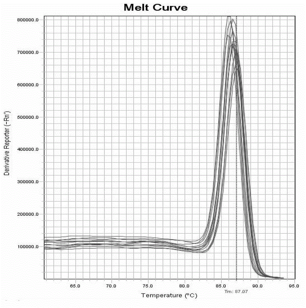 Method for detecting self-mutilation rate of insects by using odorant binding protein 15 gene